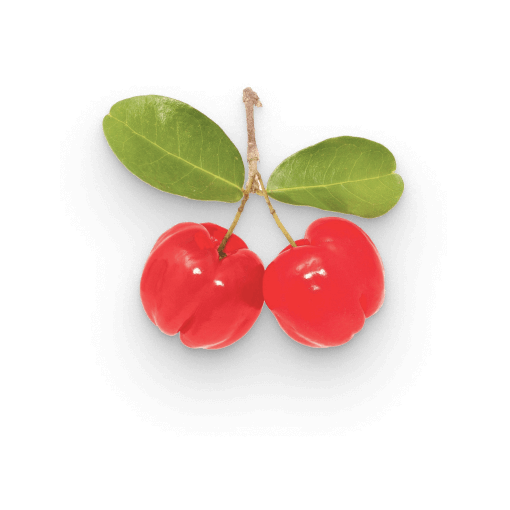 Extracto de acerola