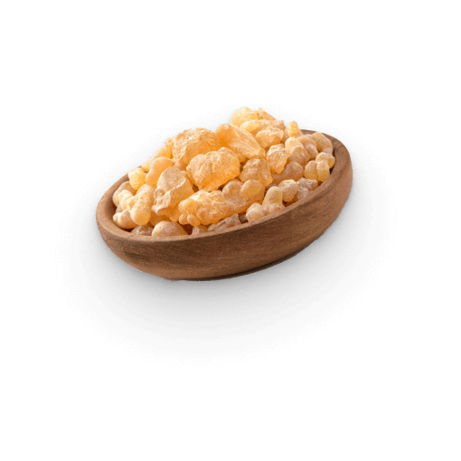Extracto Boswellia Serrata