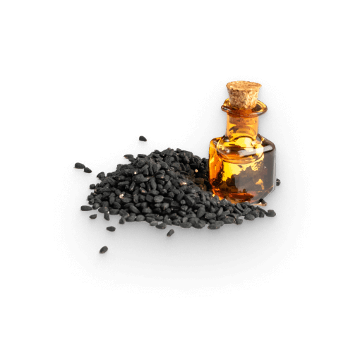 Extracto de comino negro